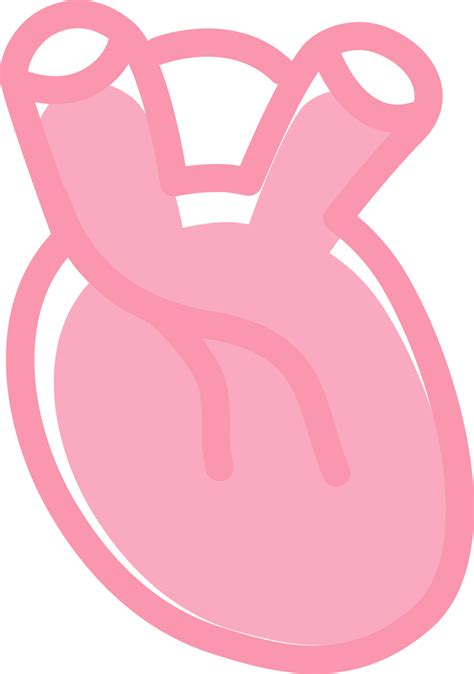 Vital Organo Humano Corazón Organo Ilustración Png Transparente