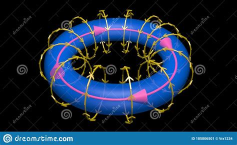 Toroidal Magnetic Field Lines Fusion Energycircular Rings Flow Stock