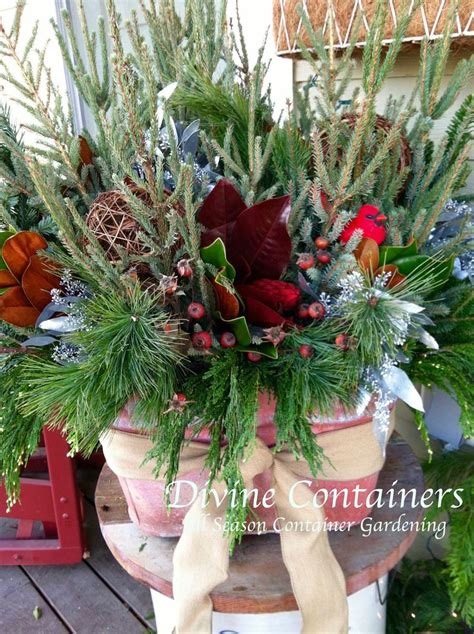 624 Best Images About Winter Containers On Pinterest Window Boxes