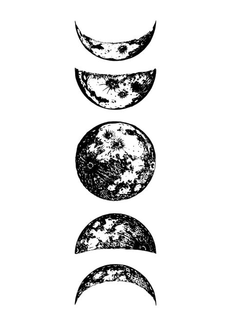 Premium Vector Moon Phases Drawings In Vector Drawn Illustration