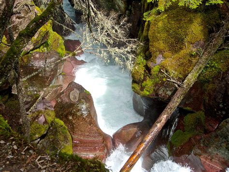 View Into Avalanche Creek Gorge In Glacier National Park Montana