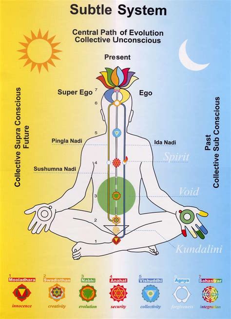 Yoga Life Chakras Kundalini And Dna