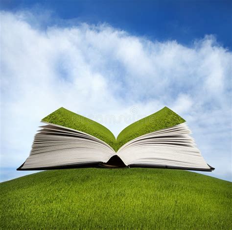 Open Book With Green Grass Stock Photo Image Of Agriculture 22822270