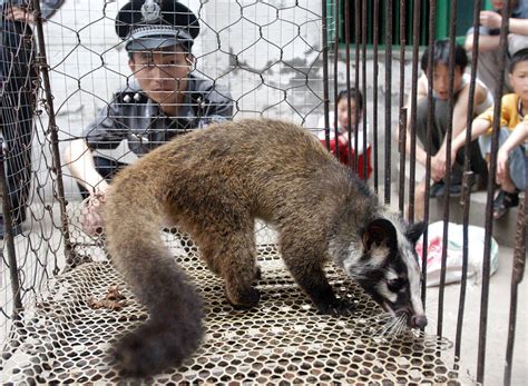 Maybe you would like to learn more about one of these? Monitor wildlife trade as certain animals 'have potential ...