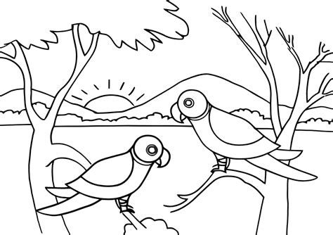 Jungle coloring pages | Coloring pages to download and print