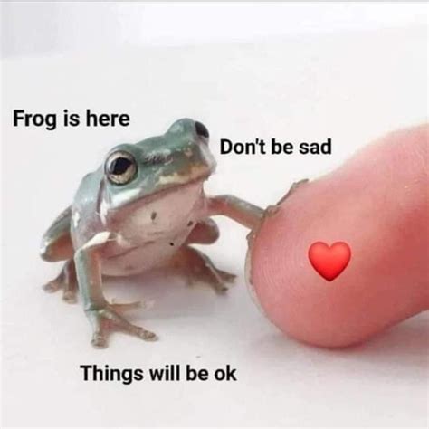 ️ Everything Will Be Ok Rwholesomememes Wholesome Memes Cute
