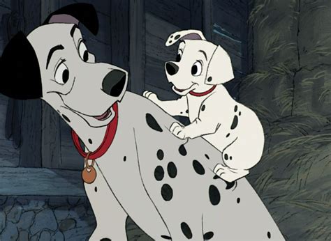 A Dalmatian And A Dog Standing Next To Each Other