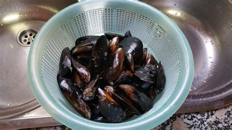 Los mejillones cocidos al vapor están tan ricos que son como las pipas, ¡empiezas a comerlos y no paras!. Recetas de Toda la Vida, Cocinar Sencillo, Como Me Enseñó ...