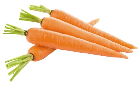 Order Carrots Per Kilo Fresh Vegetables In Manila City Philippines