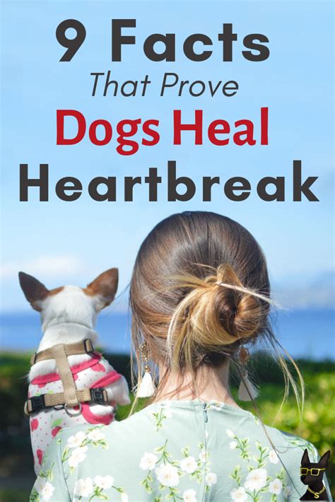 8 Ways Dogs Help With Heartbreak According To Science Yocanine