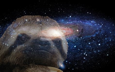 Astronaut Sloth Au