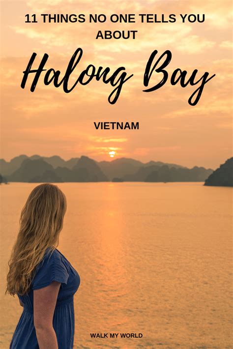 What No One Tells You About Halong Bay Cruises What To Expect What Is