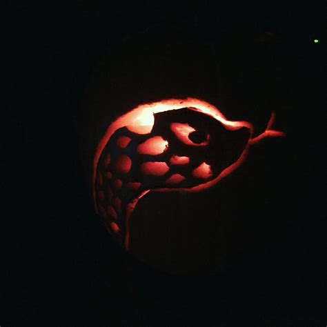 Halloween Pumpkin Of My Western Hognose Snake Pumpkin Carving