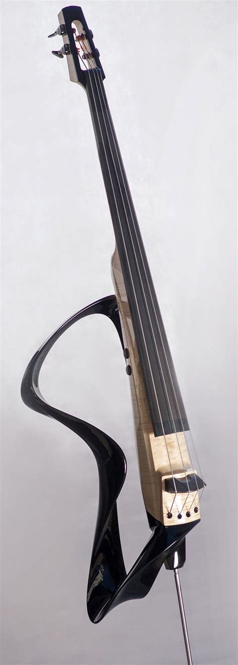 Best Electric Upright Bass Images On Pinterest Musical Instruments Bass Guitars And Double