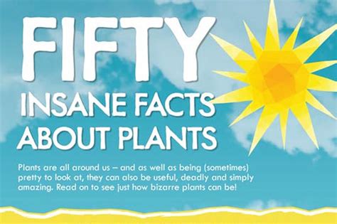 Fun Facts About Plants Plant Ideas