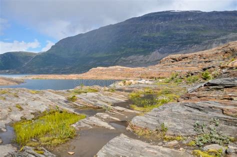 Hiking Trail In Saltfjellet Svartisen National Park Norway Stock Photo