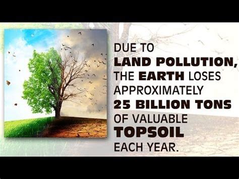 Besides creating excess air pollution, their waste disposal, or lack thereof, greatly pollutes the land and in turn, the water. Various Causes and Effects of Land Pollution That Need ...