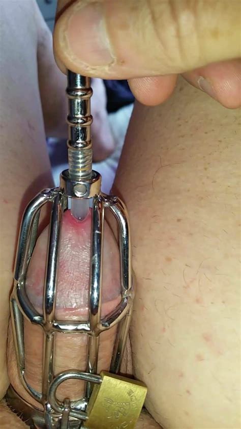 Cock Cage Xhamster