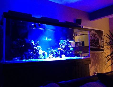 210 Gallons Fish Tanks And Aquariums