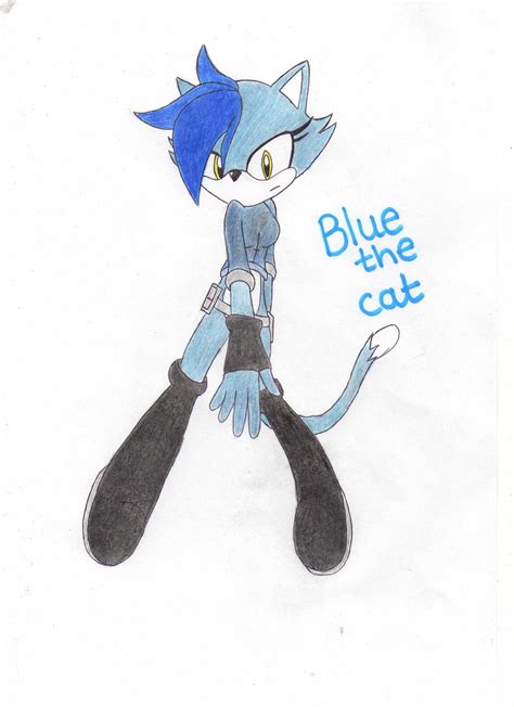 Blue The Cat By Silverwolfgal1 On Deviantart