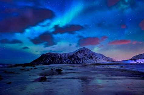 Premium Photo Aurora Borealis Northern Lights Lofoten Islands Norway