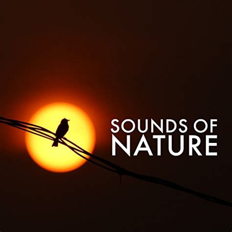 Sounds Of Nature Nature Sound Collection Nature Sounds