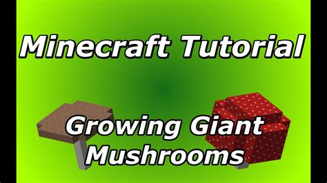 minecraft tutorial growing giant mushrooms without mycelium works in 1 8 simple youtube