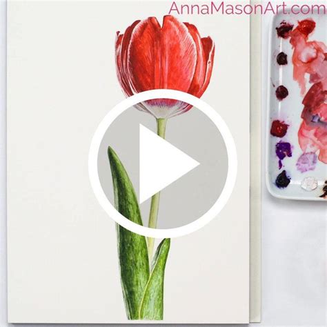How To Paint A 3d Tulip In Watercolour Anna Mason Art Video Video