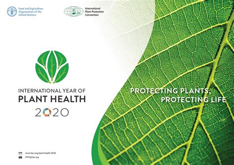 2020 Declared International Year Of Plant Health Euroseeds