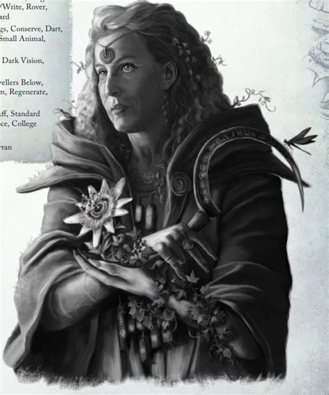 Warhammer Fantasy Divided Loyalties An Advisors Quest Fantasy Users Choice Page 12193