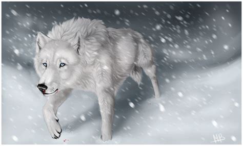 Alone Journey By Wolf Minori On Deviantart Wolf Love Alone Wolf