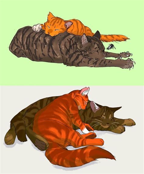 Are They Both Squirrelflight And Bramblestar Because The Second One Is Different Warrior Cats