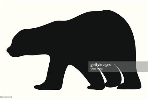 Bear Silhouette Vector High Res Vector Graphic Getty Images