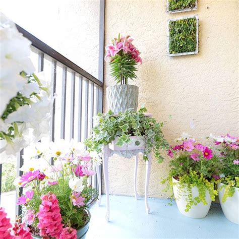 Adding Plants Is An Easy Inexpensive Way To Beautify Any Outdoor Space Even A Small Balcony