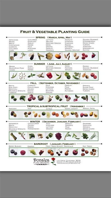 💥gardening Guide 101💥 Vegetable Garden Planting Guide Garden Plants