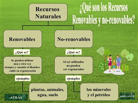 Que Son Los Recursos Renovables 5 Ejemplos Chefli