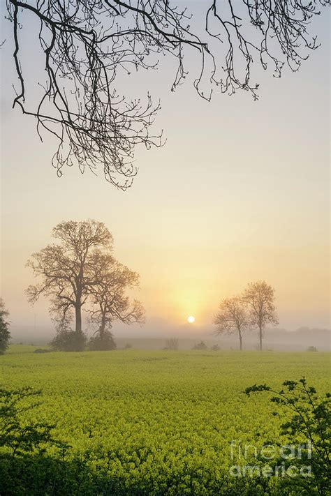 Misty Morning Spring Sunrise Photograph By Tim Gainey Fine Art America