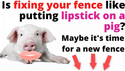 Pig Lipstick 