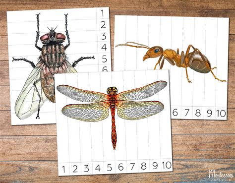 Insect Number Sequence Puzzles 1 10 Montessori Printable Etsy