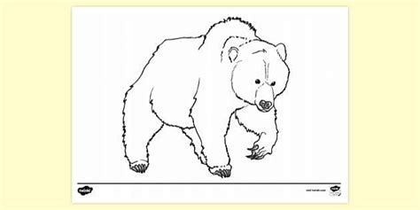 Free Bear Hunt Colouring Colouring Sheets Twinkl