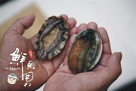 優惠受條款及細則約束。 詳情請瀏覽樂園網站 www.hongkongdisneyland.com。 【香港文華東方酒店mandarin oriental優惠】「龍蝦﹒鮑魚﹒生蠔」自助晚餐連任飲汽水+早餐. 鮑魚vs九孔 認識海鮮 鮮魚男網路海產店