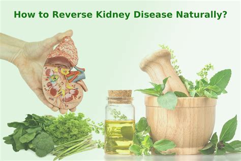 How To Reverse Kidney Disease Naturally Ayurvedic Kidney Failure