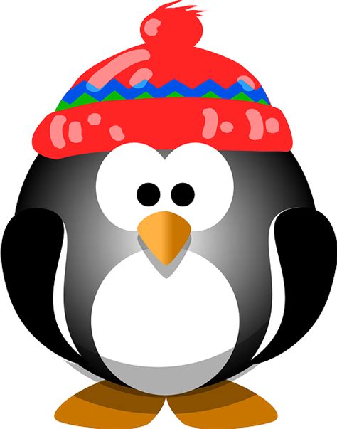 Penguin Bird Hat · Free Vector Graphic On Pixabay