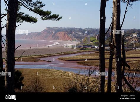 Salt Marsh And Shingle Beach At The Mouth Of The River Otter Budleigh Salterton East Devon