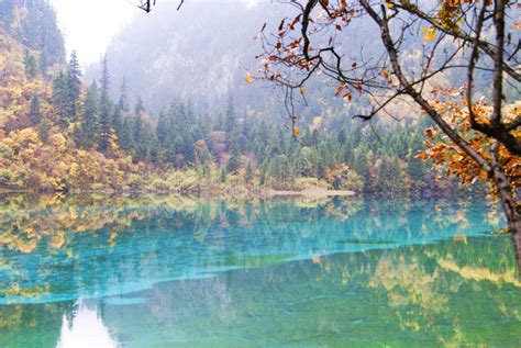 Beautiful Landscape Of The Five Flower Lake In Jiuzhai Valley National