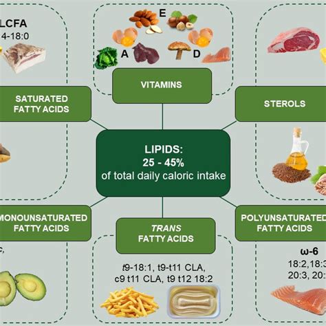Dietary Lipid Sources Average Daily Intake And Main Dietary Sources