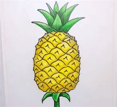 How To Draw A Pineapple Step By Step For Kids Pineapple Pineapple