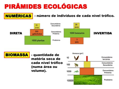 Piramide De Energia Sexiz Pix