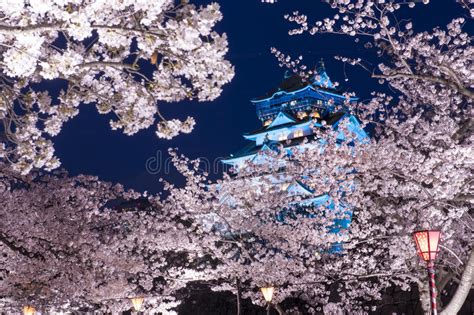 Osaka Castle Stock Photo Image Of Blooming Nature Seasonal 42655120