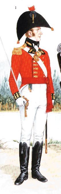 Uniforms Of British Army During Napoleonic Wars